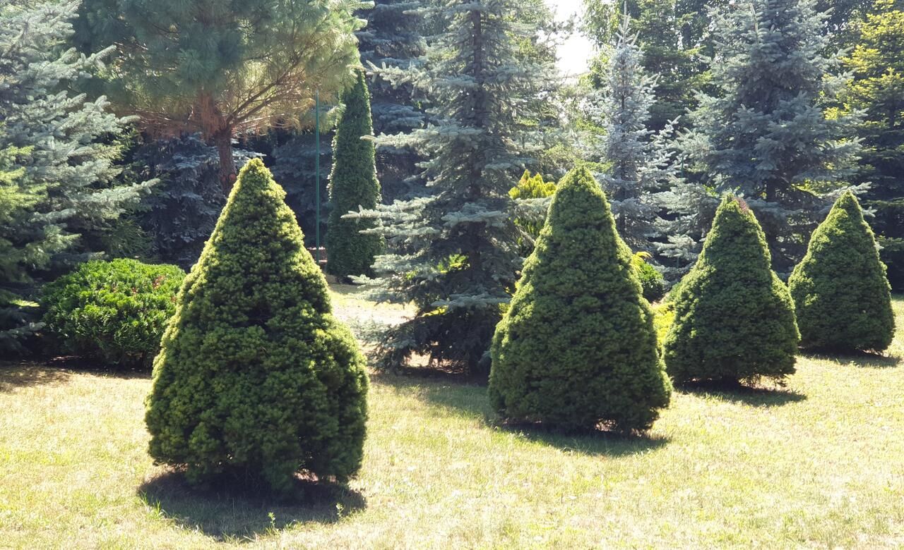 Дома для отпуска Lawendowe domki nad jeziorem Krzewent Krzewent-17