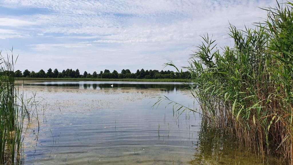 Дома для отпуска Lawendowe domki nad jeziorem Krzewent Krzewent-27